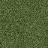 4175016 Moss