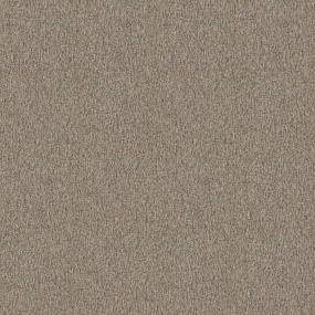 4288012 Taupe