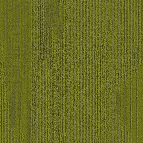 7267005 Grass