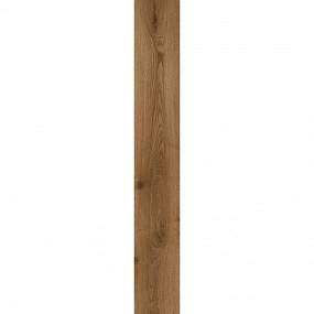 Дизайн-плитка Traditional Oak 1866