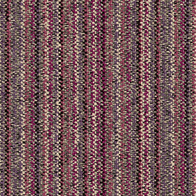 8110005 Fuchsia Warp