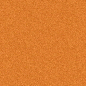 4174009 Orange