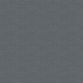 4174002 Neutral Grey