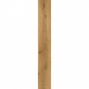 Дизайн-плитка Traditional Oak 1832