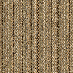 8110008 Dale Warp