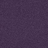 4174012 Grape